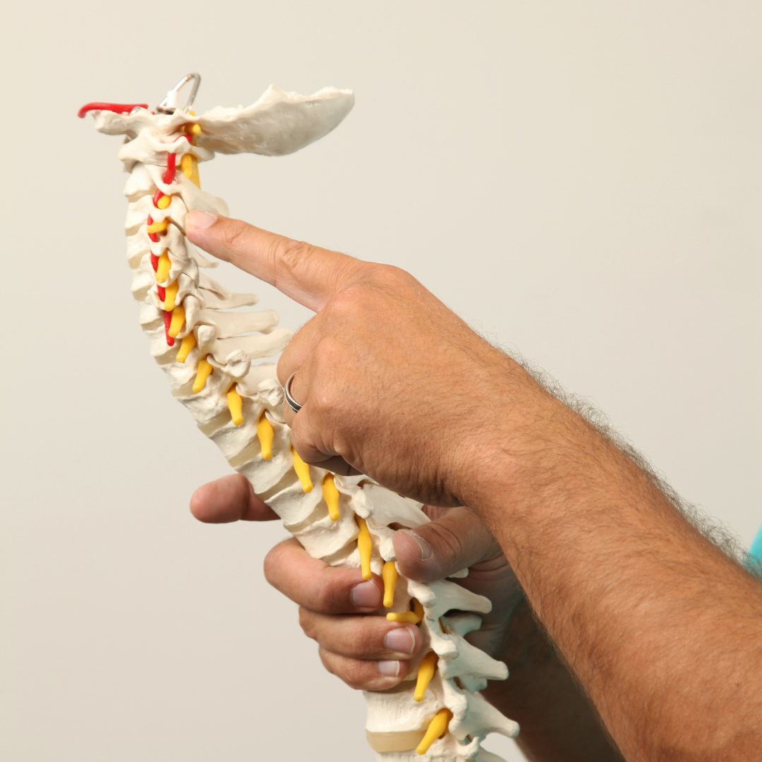 Chiropractic Care Slide 2
